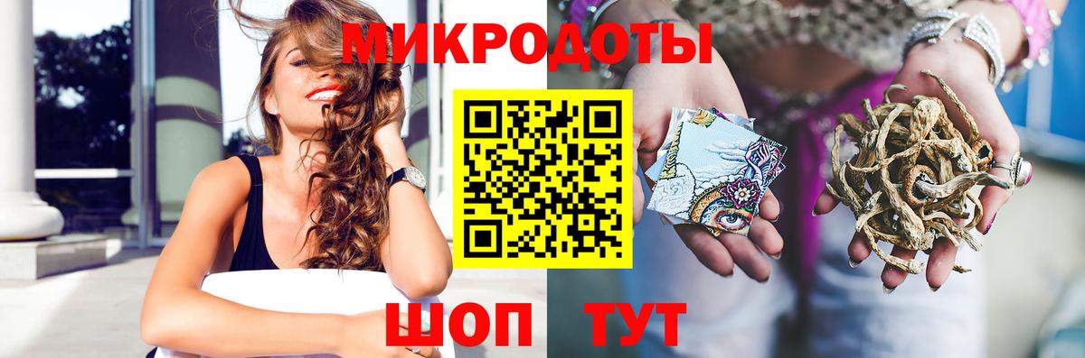 дарнет шоп  Вход с VPN  Дербент  Псилоцибиновые грибы Psilocybe 